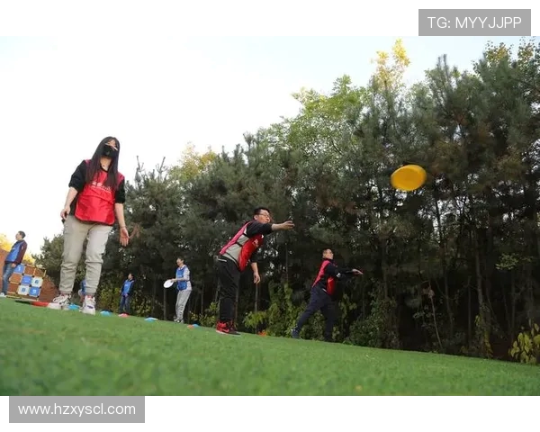 飞盘盛宴：深入了解西安飞盘队的激情与实力之旅